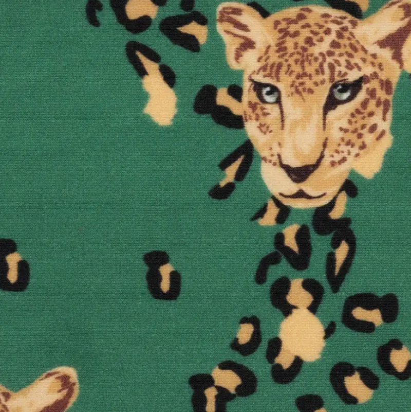 Roar-Green Hype>Rio de Sol Best